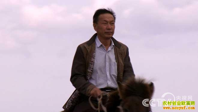 �¸�����������׬Ǯ����