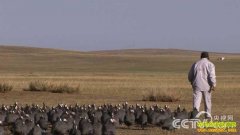 [�¸���]������׬Ǯ���������������鼦����Ƹ�