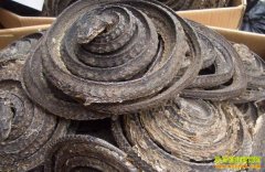 [ÿ��ũ��]������������������������ֳ�¸������