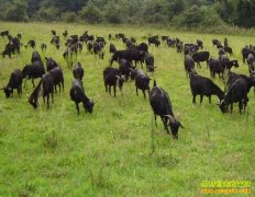 [�����е�]�����佭������ֳ��ɽ������ĲƸ�