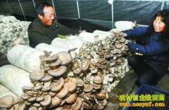 ����������ʳ�þ������¸�·