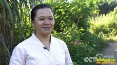 [�¸���]��˫������������ֳ�вƵ�С��������800��Ԫ