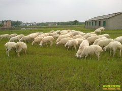 [�����е�]�㽭���ݷ���������еĺ�����ֳ�Ƹ�