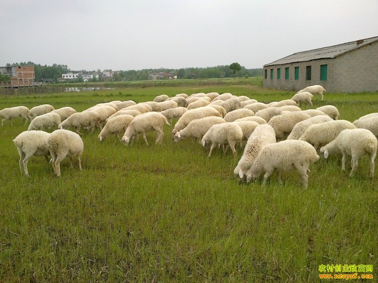 �㽭���ݷ�����������ҵ�¸���Ƶ