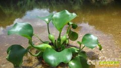 [��ɫʱ��]�����Ϊ����׬Ǯ�м���