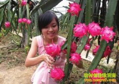 ɽ����������ڴ�����ֲ������һ����������Ԫ