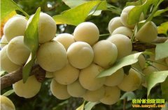 [�۽���ũ]ɽ��۰���������⾭