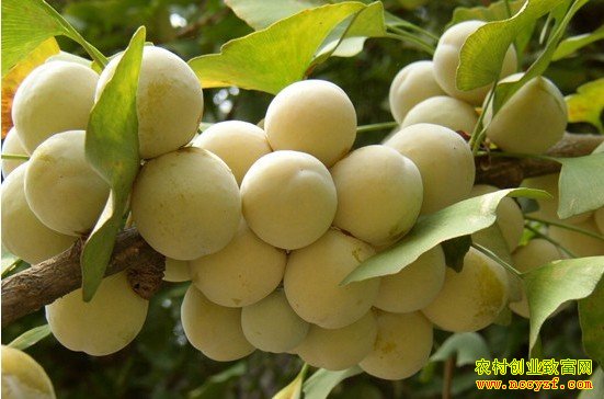 ۰������