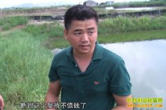 ����׿��Է�����׬���� ֻΪһ����������з