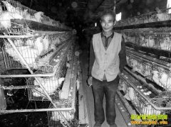 ������׬Ǯ����������ֳ���� һ���ջسɱ�