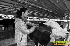 ��ţ׬Ǯ����ţ�����ļ�