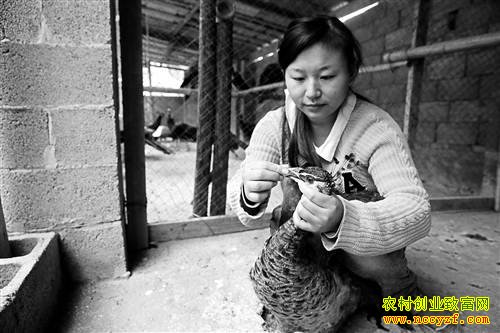 ̷��������Ŀ�ȸ