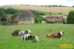 [�����е�]��ѧ�������Ϸ����԰�¸���