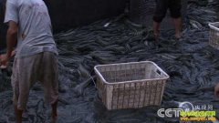 [�¸���]���Ƹ��ܸ��ֺ�������ĺ�����ֳ�Ƹ�