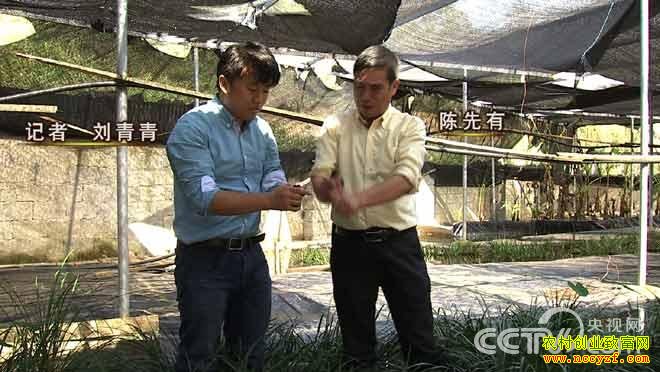 �¸�������ɽ��ܲƸ�