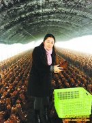 ����������ΰ��ֲ�㹽����ҵ�¸���