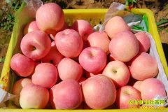 [ÿ��ũ��]���������鱦ƻ���ܻ�ӭ