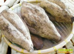 [ÿ��ũ��]���ͷ�ĸ����Ǯ׬