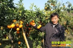 �¸���Ʒ�֣���ֲ�������ܺȵ�Ȫˮ���ٺ�׬Ǯ