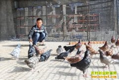 �½���ľ���������Ľ������¸�����