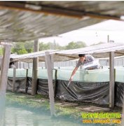 �㽭���˻����ϰ��⴫�⵾�������¸�����