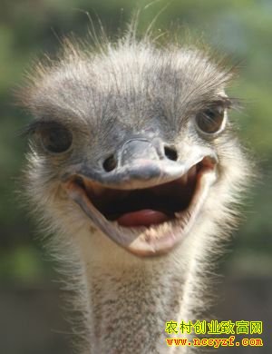 ���û����������¸� 