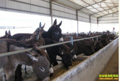 ��ѧ��������¿�����������Ԫ