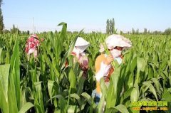 ����Ӫ�����ε����������¸���