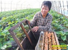 [ũ�����]���Ҳ�ݮ�۷��ڷۼ�����Ƶ