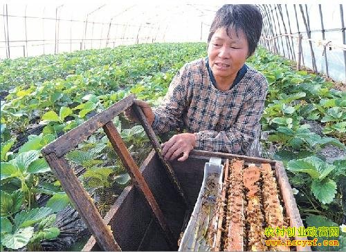 [ũ�����]���Ҳ�ݮ�۷��ڷۼ�����Ƶ