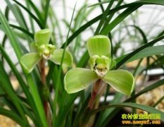 [ũ�����]�����ļ�ͥ����������Ƶ