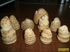 [ũ�����]���������������Ƶ