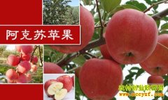 [ÿ��ũ��]�Ķ���İ�����ƻ��Ⱦ����ɳĮ��