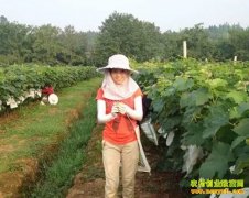 �Ĵ��ڽ�Ů��ѧ�������ְ�����������¸�����