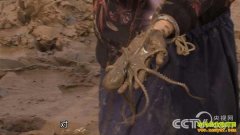 [�¸���]�㽭̨�ݳ������������ץɶ��׬Ǯ