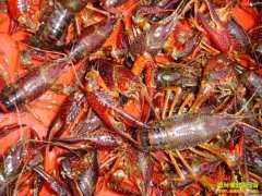 ���ն�̨�ſ�������Ϻ ��С�����