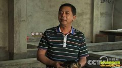 [�¸���]�㶫ï���ƻ��˽�Ǯ����ֳ�¸�����Ƶ