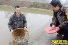 �Ĵ������������������������¸�