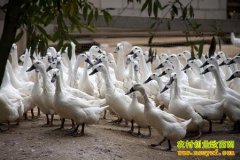 [ÿ��ũ��]����ڽŵ����ǰ�ѼԽ��Խ��