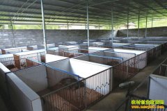 ������ֳ����Ӧ�� �����۸�������