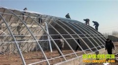 [ũ�����]�����չ����ҽ��켼����Ƶ