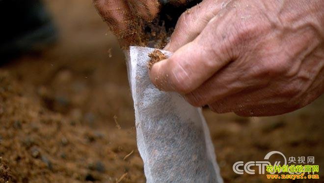 ������ ����ʯ��������