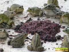 [�Ƽ�Է]�㽭�����⴫�����ڰ�����Ƶ