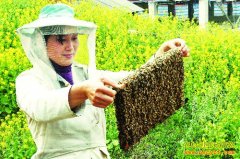 �½�ɳ�塰����������÷��������������