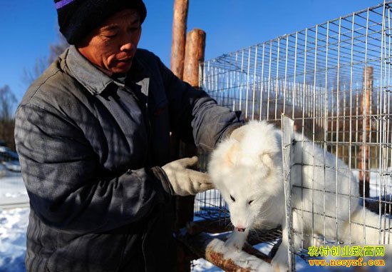 ��������ֳ��ͼƬ