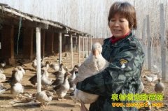 ���������һֻ����200Ԫ