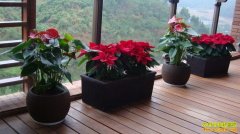 ���Ի��ܺ������� ��Щ������Ԥ��ů����