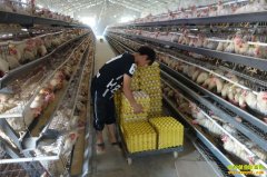 [ũ�����]�����׵�����ֳ��Ƶ