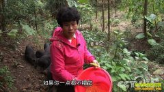 [�¸���]��������������ɽ������ɽ��ĲƸ�