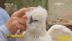 [�����е�]��̬��ɽ���������ʿ���軪